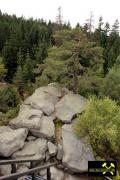 Burgsteinfelsen bei Bad Alexandersbad nahe Wunsiedel im Fichtelgebirge, Bayern, (D) (4) 3. September 2016 (Kösseine-Randgranit.JPG